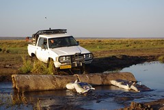 Low water crossing